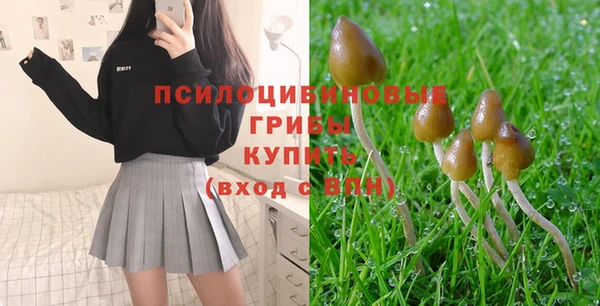 альфа пвп Ростов